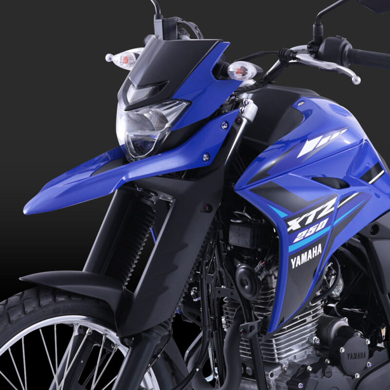 Moto Todoterreno XTZ250 - Imagen 4